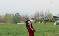 大片免免费观看视频播放器在线观看